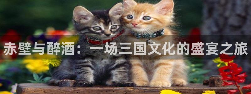 奇亿娱乐手机app下载