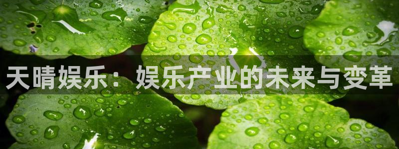 奇亿娱乐官方网站首页